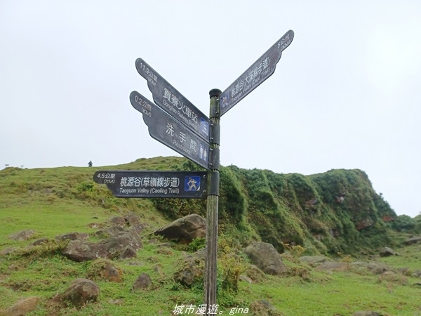 20220327_132429.jpg 20220327_132429.jpg