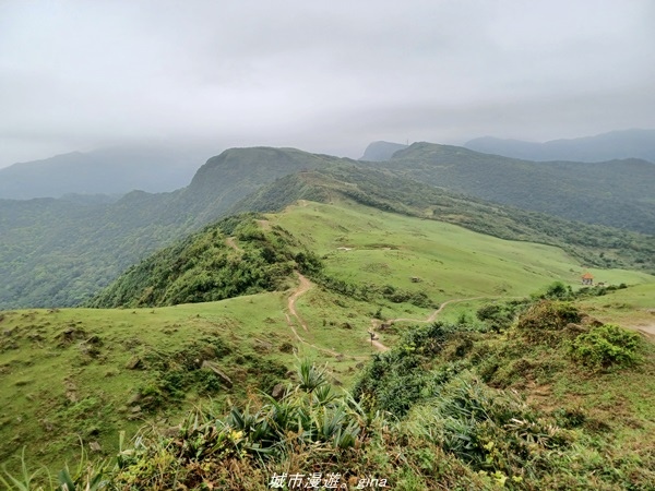 20220327_132915.jpg 20220327_132915.jpg