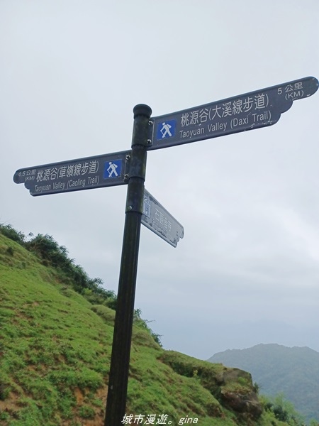 20220327_133952.jpg 20220327_133952.jpg