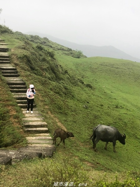 20220327_135339.jpg 20220327_135339.jpg