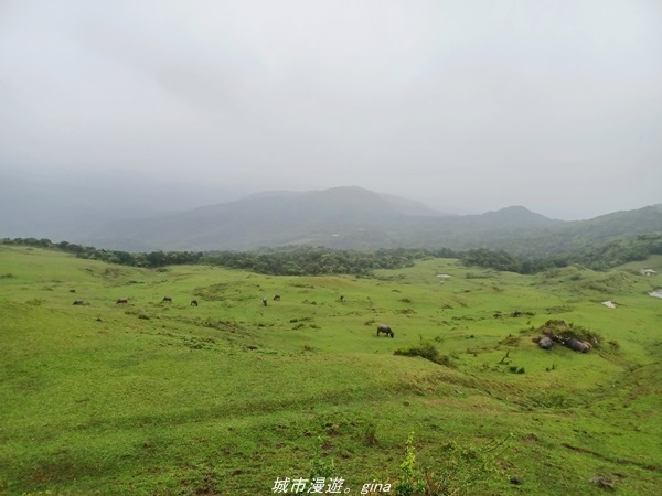 20220327_135045.jpg 20220327_135045.jpg