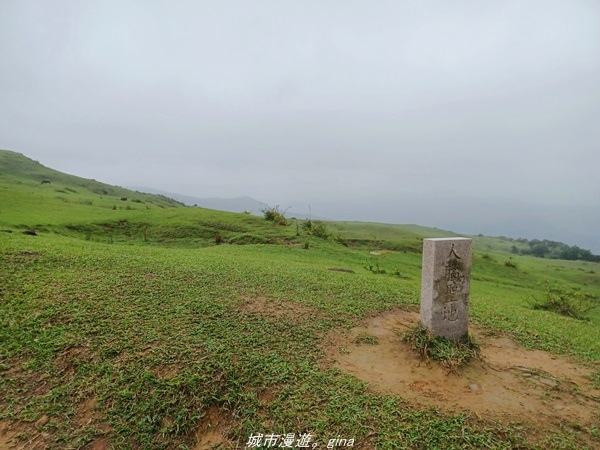 20220327_135342.jpg 20220327_135342.jpg