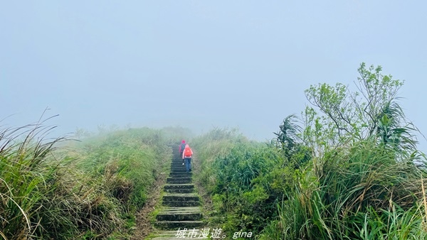 20220327_135346.jpg 20220327_135346.jpg