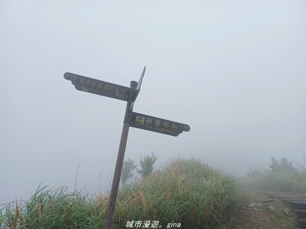 20220327_141313.jpg 20220327_141313.jpg