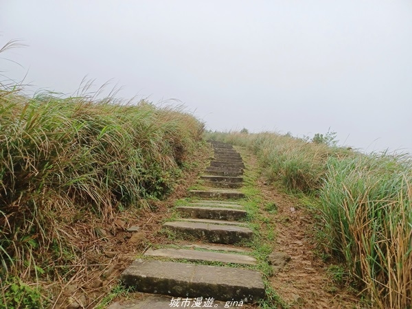 20220327_140703.jpg 20220327_140703.jpg