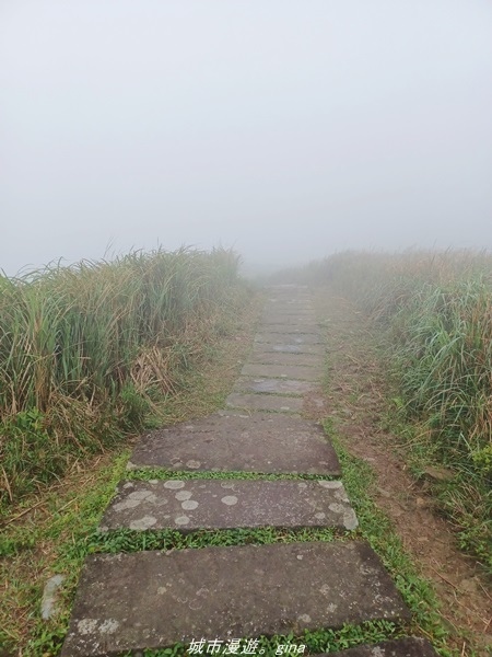 20220327_141316.jpg 20220327_141316.jpg