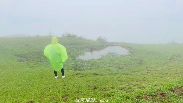 20220327_143848.jpg 20220327_143848.jpg