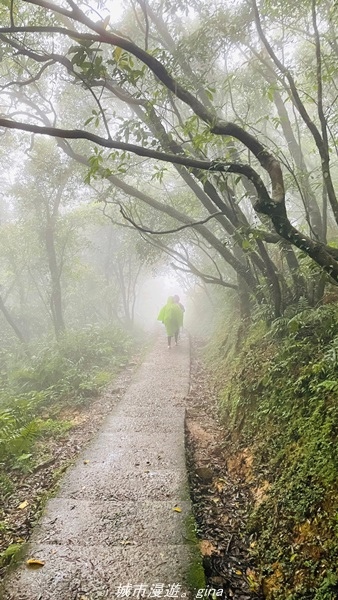 20220327_143850.jpg 20220327_143850.jpg