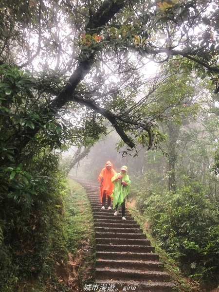 20220327_160544.jpg 20220327_160544.jpg