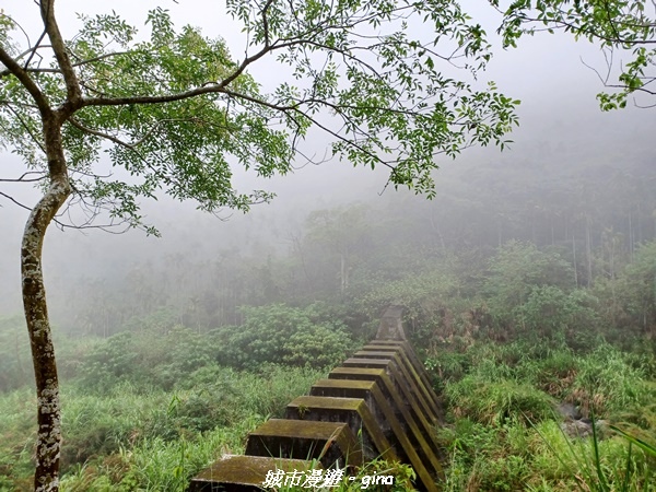 20220402_105425.jpg 20220402_105425.jpg