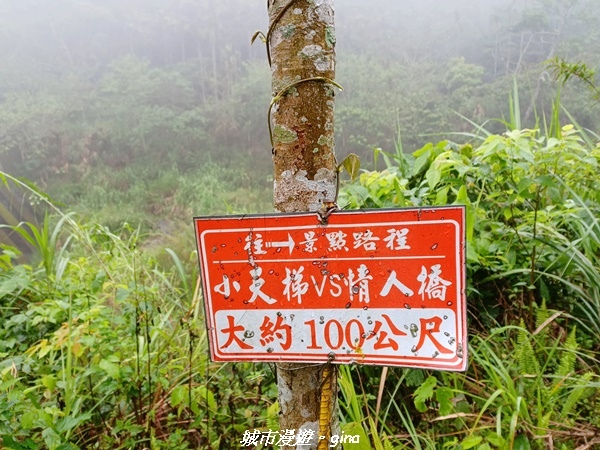 20220402_105456.jpg 20220402_105456.jpg