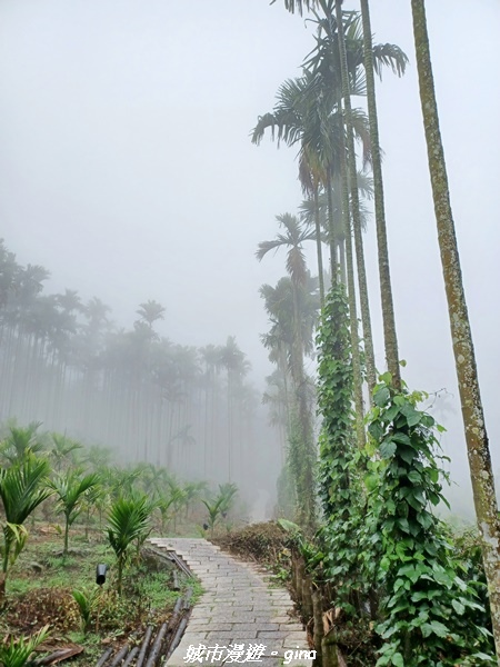 20220402_111517.jpg 20220402_111517.jpg