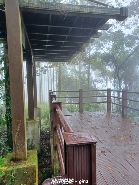 20220402_112334.jpg 20220402_112334.jpg