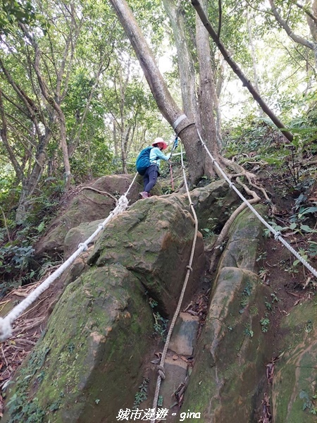 【桃園大溪】大小攀爬不斷。 No21小百岳-桃園金面山步道