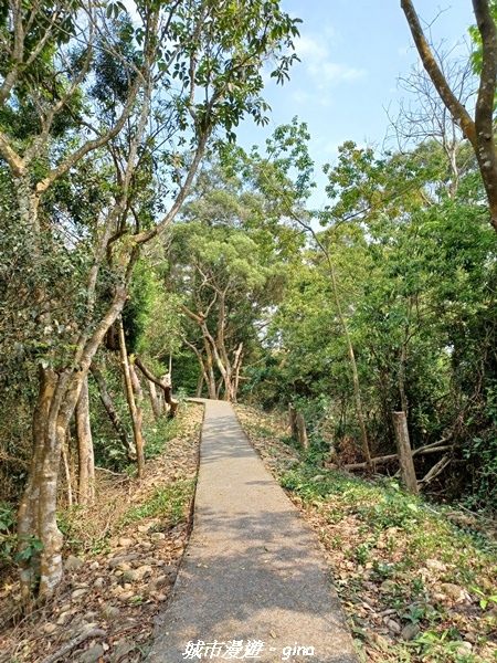 【彰化員林】綠樹林間散散步。 臥龍坡步道
