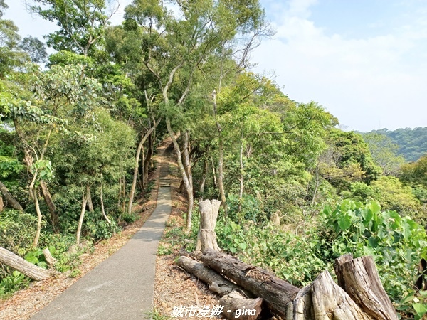 【彰化員林】綠樹林間散散步。 臥龍坡步道