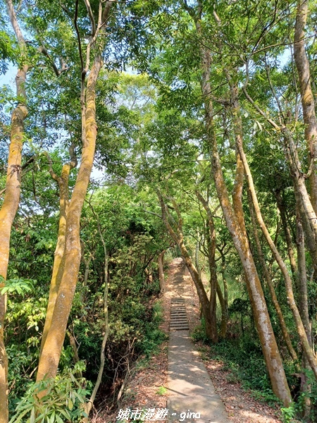 【彰化員林】綠樹林間散散步。 臥龍坡步道