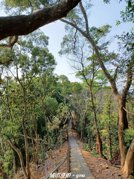 【彰化員林】綠樹林間散散步。 臥龍坡步道