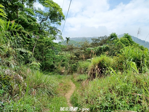 20220416_093003.jpg 20220416_093003.jpg