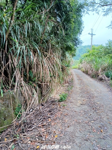 20220416_093035.jpg 20220416_093035.jpg