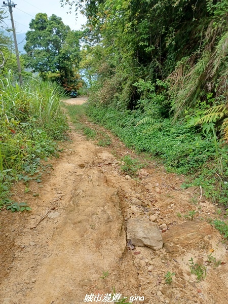 20220416_093040.jpg 20220416_093040.jpg