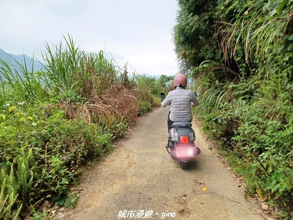 20220416_093038.jpg 20220416_093038.jpg