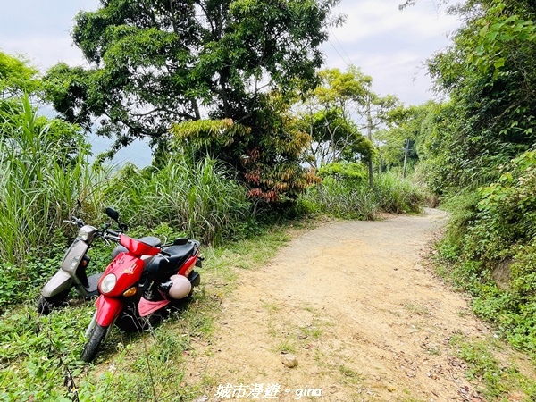 20220416_093039.jpg 20220416_093039.jpg