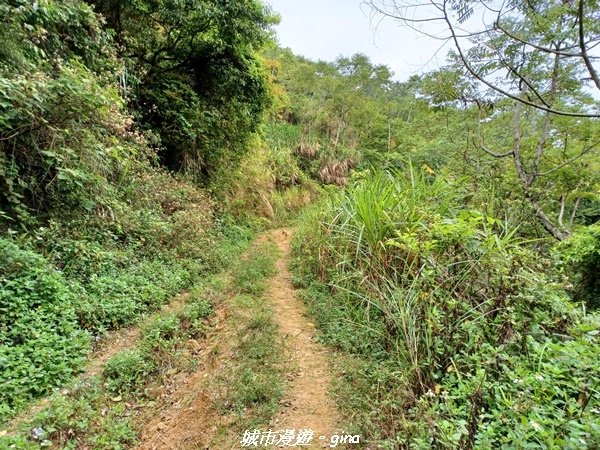 20220416_100713.jpg 20220416_100713.jpg