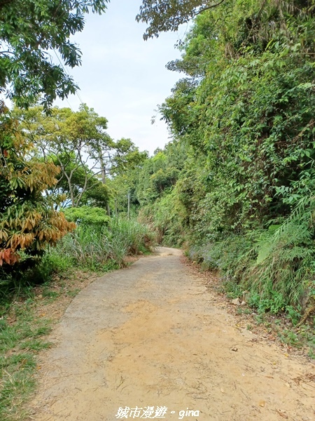 20220416_100717.jpg 20220416_100717.jpg