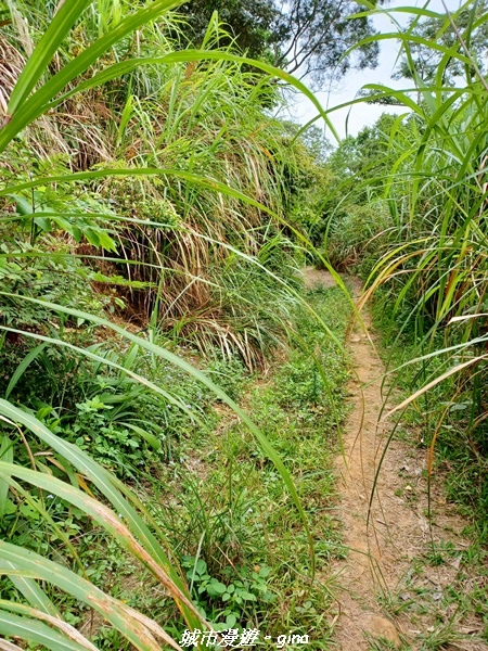 20220416_101055.jpg 20220416_101055.jpg