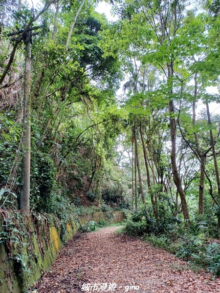 20220416_101519.jpg 20220416_101519.jpg