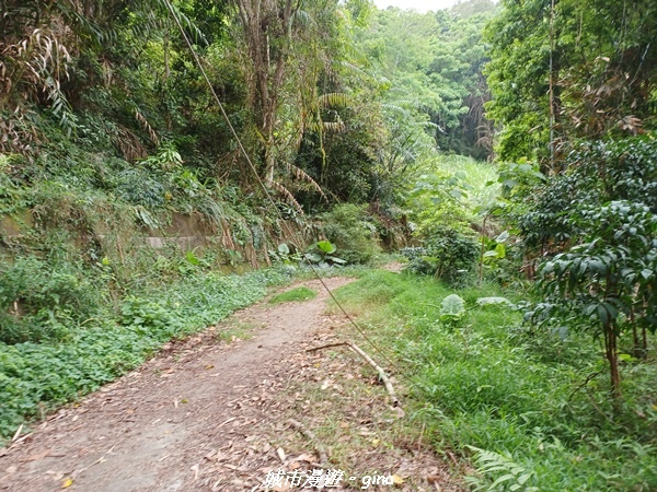 20220416_101327.jpg 20220416_101327.jpg