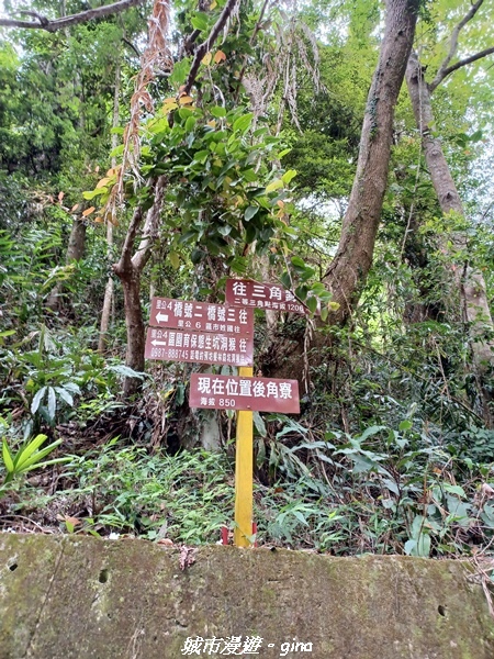 20220416_101457.jpg 20220416_101457.jpg