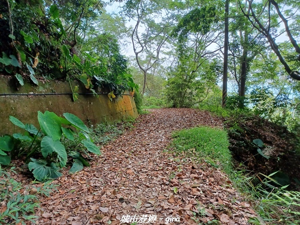 20220416_101701.jpg 20220416_101701.jpg