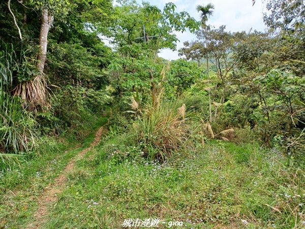 20220416_101937.jpg 20220416_101937.jpg