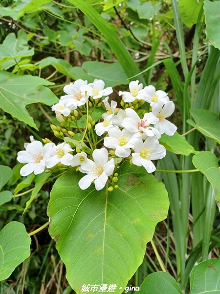 20220416_102128.jpg 20220416_102128.jpg