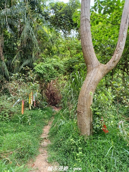 20220416_103219.jpg 20220416_103219.jpg