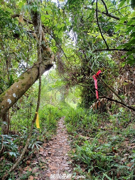 20220416_103337.jpg 20220416_103337.jpg