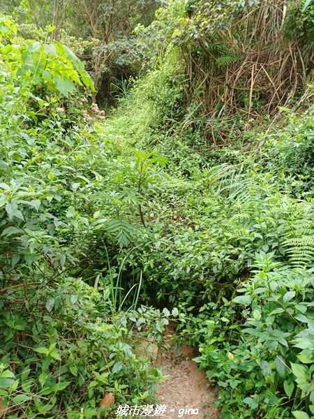 20220416_103706.jpg 20220416_103706.jpg