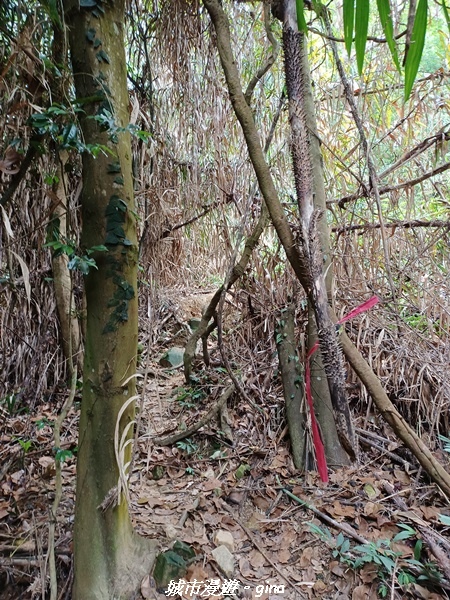 20220416_104106.jpg 20220416_104106.jpg