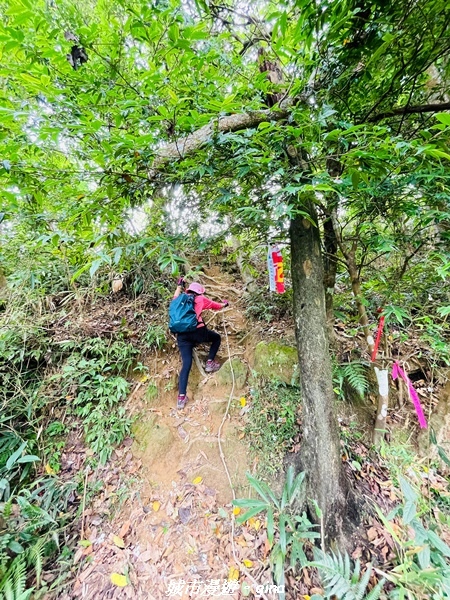 20220416_103708.jpg 20220416_103708.jpg