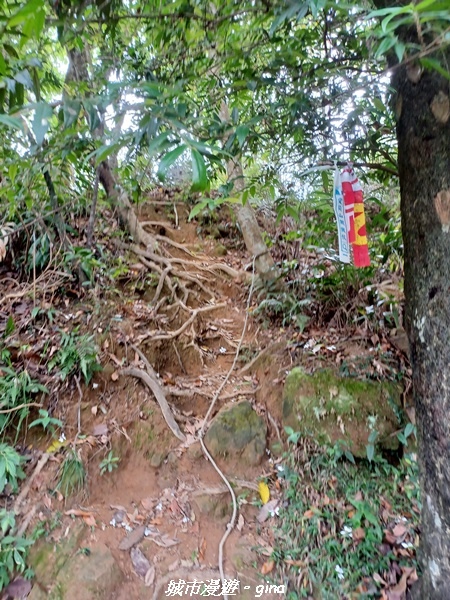 20220416_104354.jpg 20220416_104354.jpg