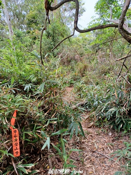 20220416_104525.jpg 20220416_104525.jpg