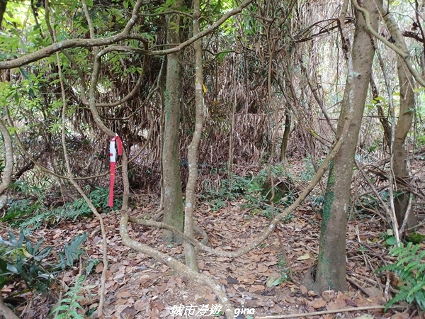 20220416_104045.jpg 20220416_104045.jpg