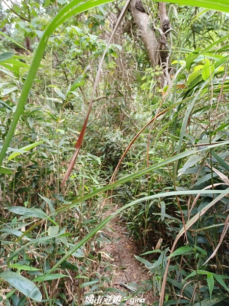 20220416_104635.jpg 20220416_104635.jpg