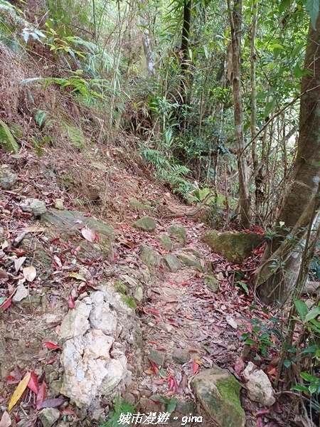 20220416_105714.jpg 20220416_105714.jpg