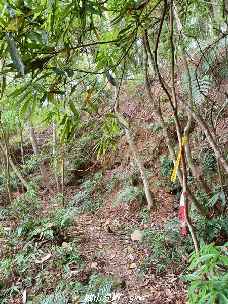 20220416_105320.jpg 20220416_105320.jpg