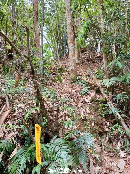 20220416_105112.jpg 20220416_105112.jpg