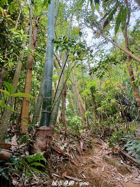 20220416_105012.jpg 20220416_105012.jpg