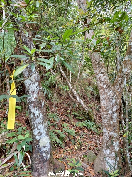 20220416_105558.jpg 20220416_105558.jpg